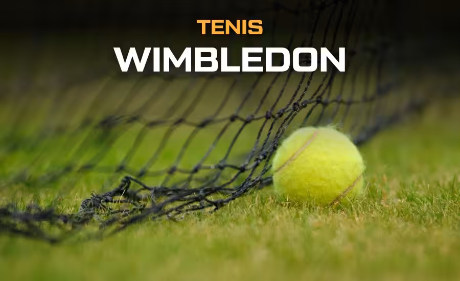Wimbledon 2026 – program, pavouk, Češi, výsledky, live přenosy 1 Wimbledon 2026 program - výsledky, pavouk, česi živě v TV a online