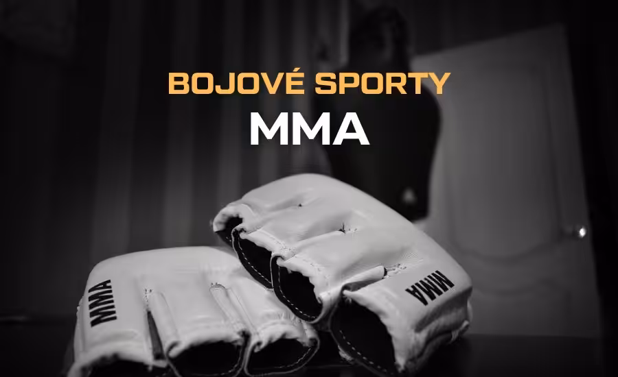 Co je to MMA? Pravidla, váhové kategorie, organizace, nejlepší zápasníci a kde sledovat zápasy 1 Co je to MMA