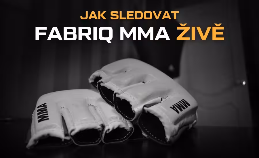 Kde sledovat Fabriq MMA live – PPV online, LIVE stream a záznam 1 Jak sledovat Fabriq MMA live