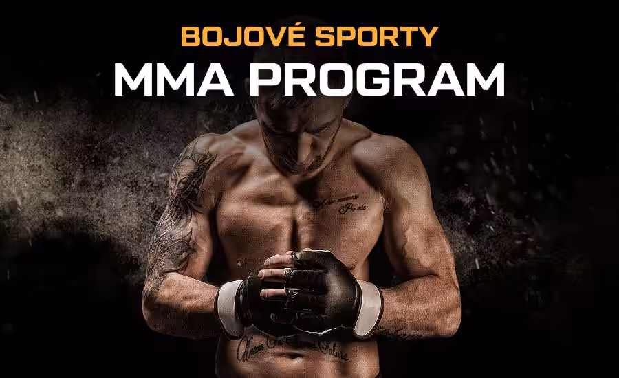 MMA zápasy 2026 - kalendář MMA, program, turnaje