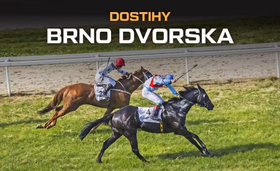Dostihy Brno Dvorska 2026 – program závodů, live stream zdarma 1 Dostihy Brno Dvorska 2026