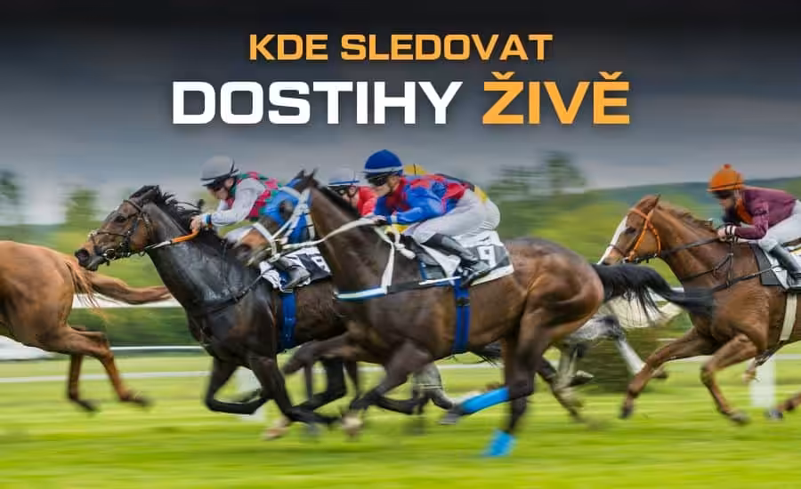 Kde sledovat dostihy živě - live v TV, online přenos, live stream zdarma 1 Kde sledovat dostihy živě