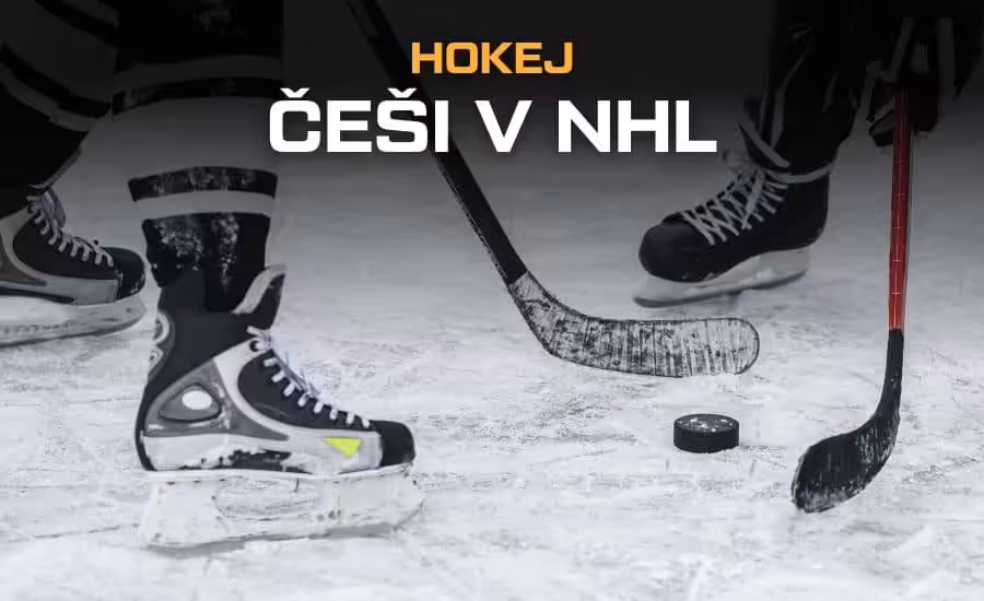 Češi v NHL