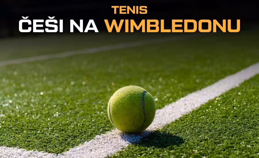 Češi na Wimbledonu 2026