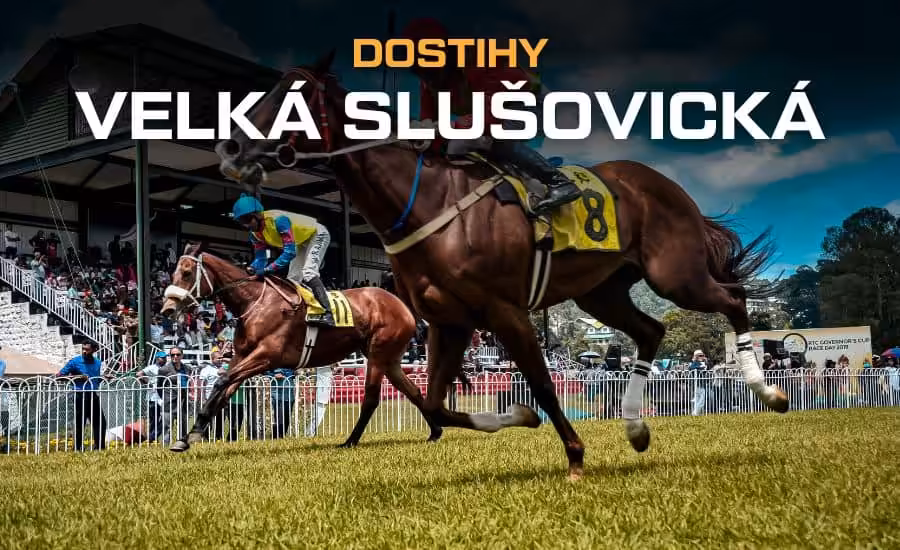 Velká slušovická steeplechase 2025 - termín, program, live přenosy, vstupenky 1 Velká slušovická steeplechase 2025