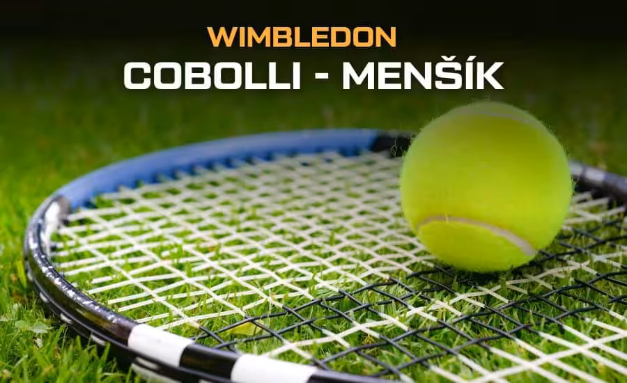 Cobolli - Menšík