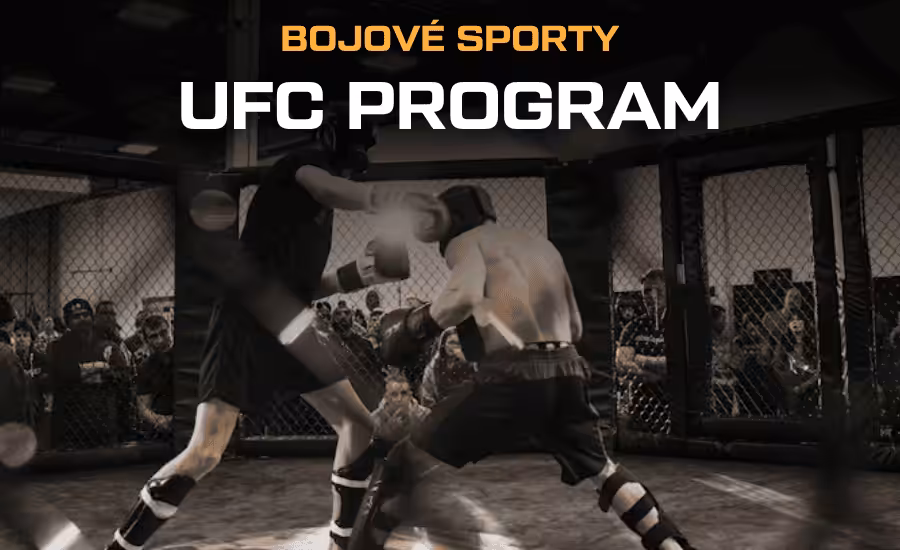 UFC program 2026: turnaje, zápasy, Procházka, live stream zdarma a další informace 1 UFC program