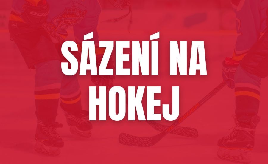 Sázení na hokej